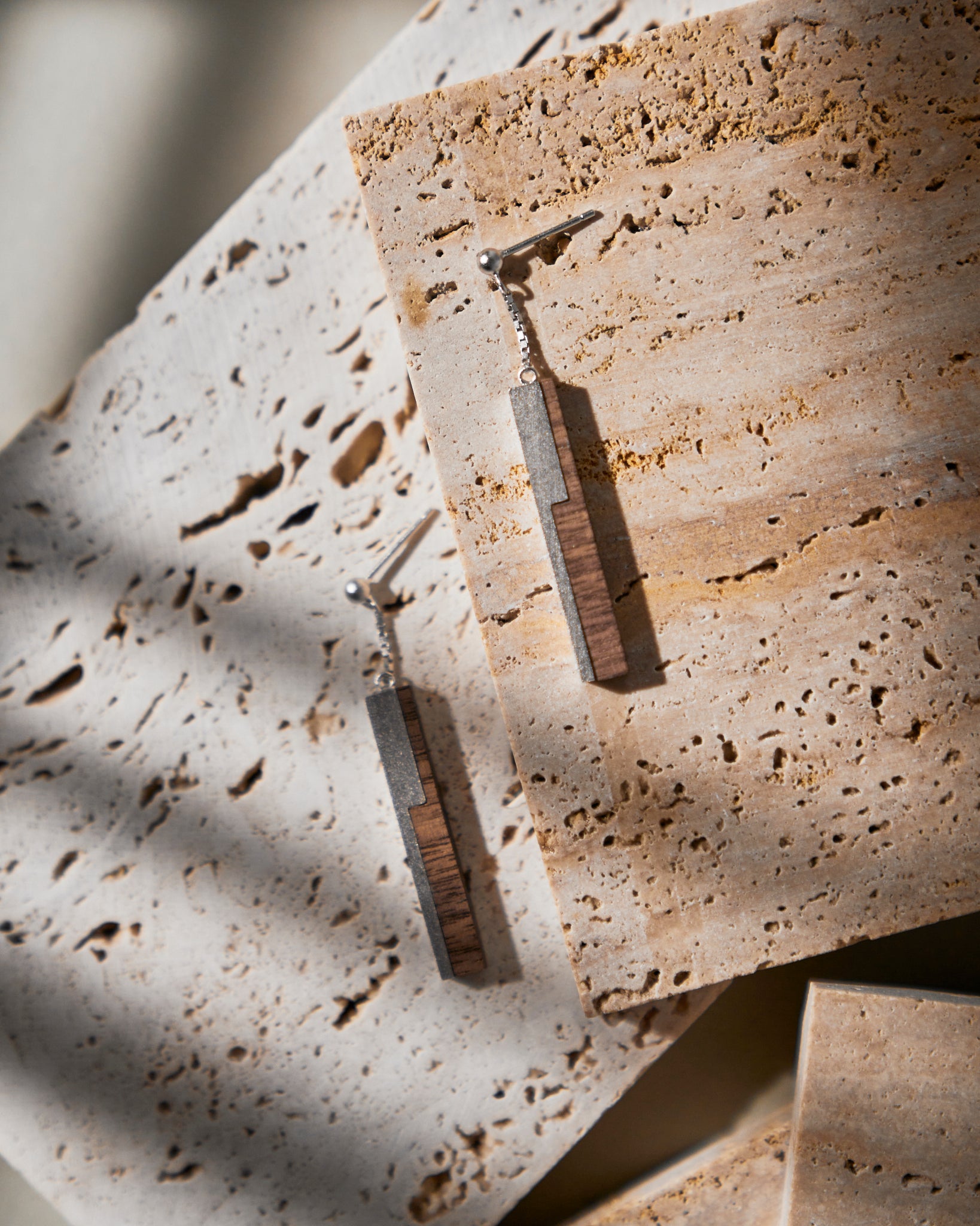 Dovetail Motion Earrings
