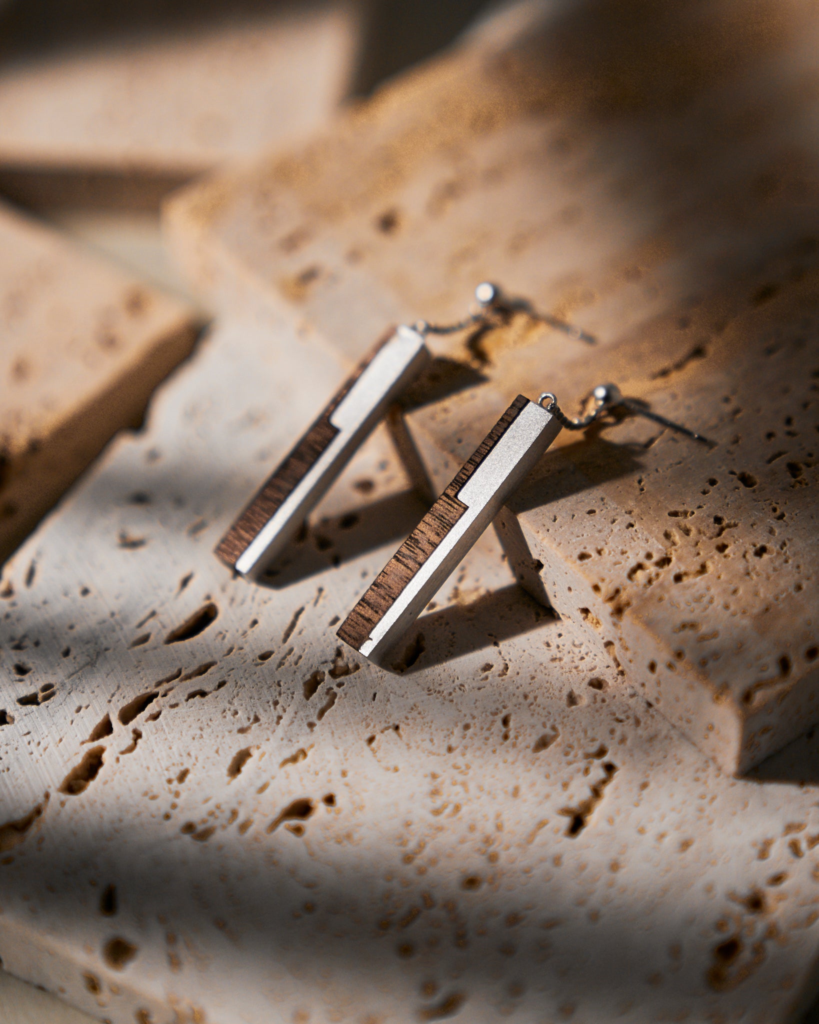 Dovetail Motion Earrings