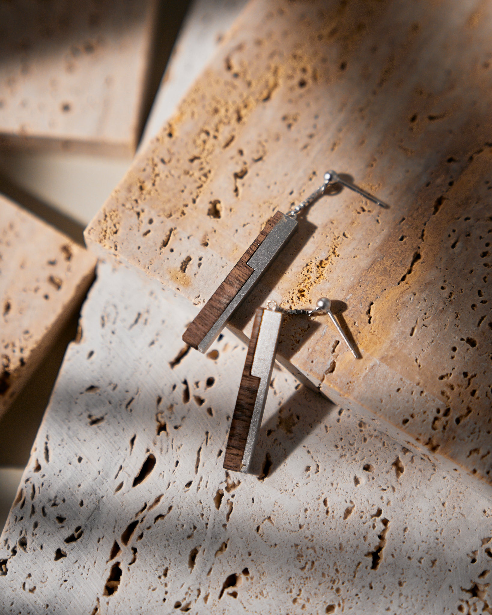 Dovetail Motion Earrings